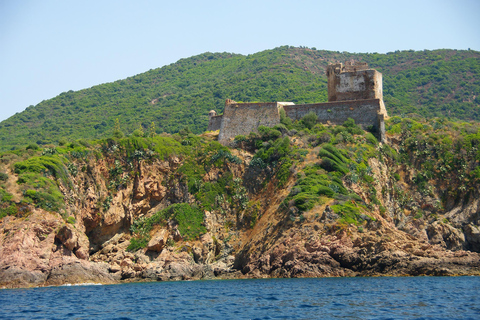 From Porticcio: Guided Scandola Nature Reserve Boat Tour From Porticcio: Guided Scandola Nature Reserve Boat Tour