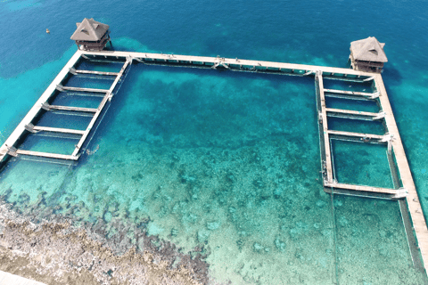 Cozumel: Sea Lion Program at Chankanaab Beach Adventure Park
