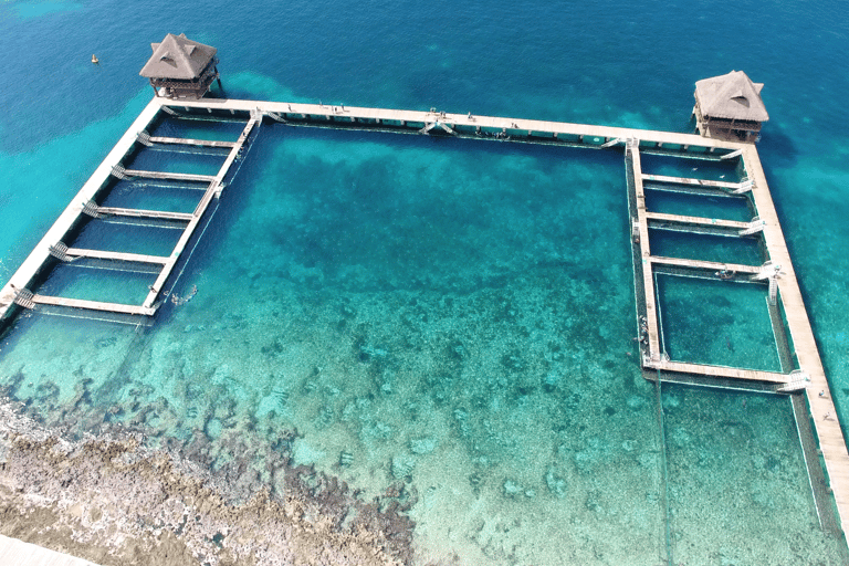 Cozumel: Sea Lion Program at Chankanaab Beach Adventure Park