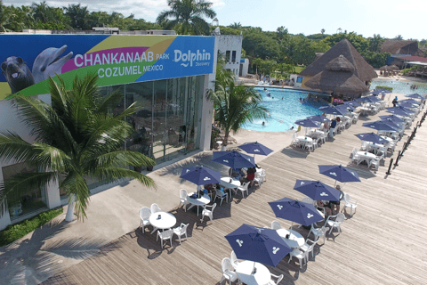 Cozumel: Sea Lion Program at Chankanaab Beach Adventure Park