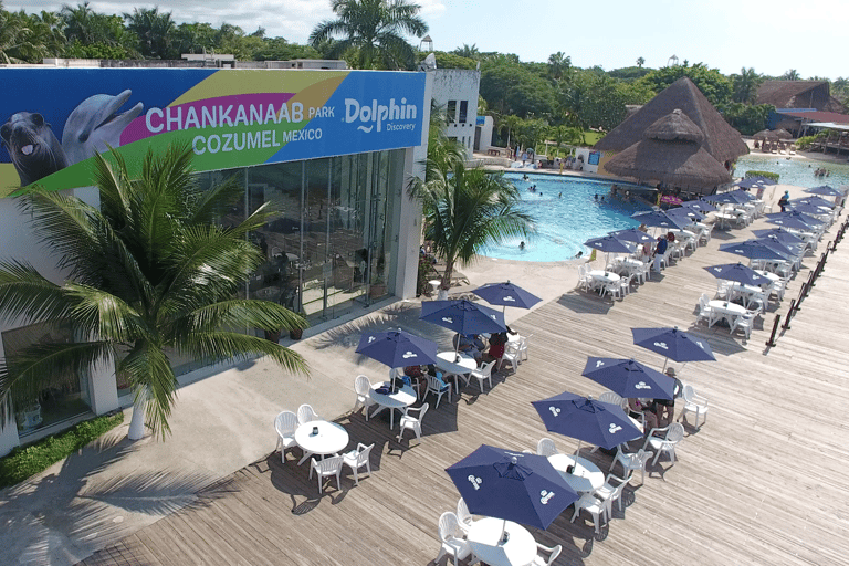 Cozumel: Sea Lion Program at Chankanaab Beach Adventure Park