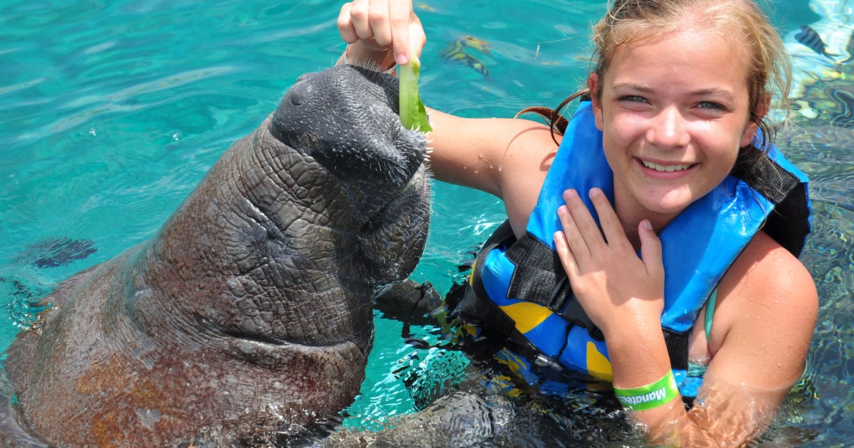 Cozumel: Manatee Encounter with Chankanaab Park Entrance | GetYourGuide