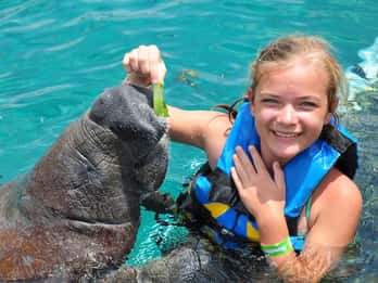 Cozumel: Manatee Encounter, Chankanaab Admission and Buffet