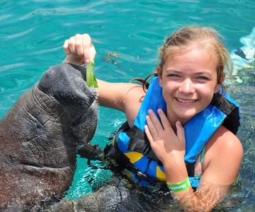 Cozumel: Manatee Encounter, Chankanaab Admission and Buffet