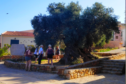 Från Chania: Elafonisi &amp; Falasarna Delad rundtur med snacksFrån Chania: Delad heldagstur Elafonisi-Falasarna