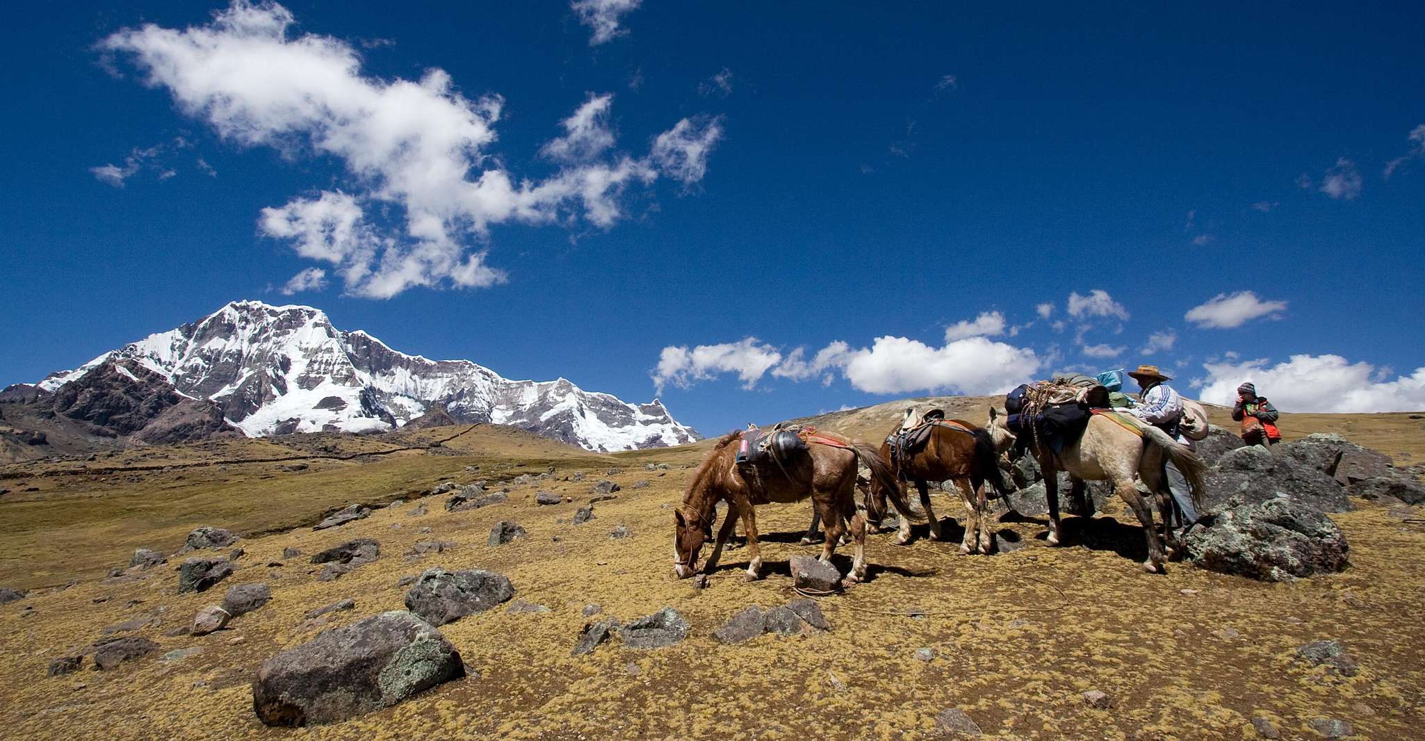 Van Cusco, 2-Day Rainbow Mountain Wandelen en Camping Trip - Hizvo