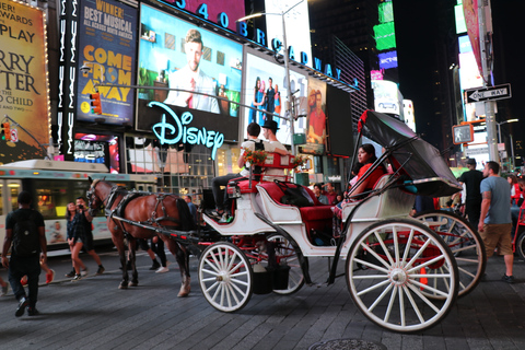 NYC: Åktur med magisk julbelysning i vagn (Upp till 4 vuxna)New York City: Magisk tur med häst och vagn i julbelysning