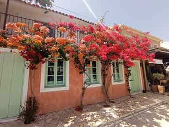 From Nydri: Boat to Kefalonia and Ithaki with Swim Stops