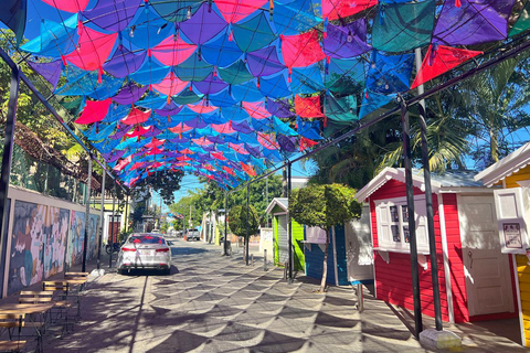 Puerto Plata: Off-Road Buggy through the Jungle and Colorful Streets