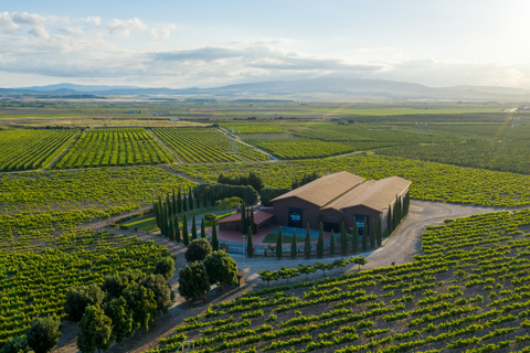 Découvrez La Rioja : visite guidée des vignobles et dégustation de vins