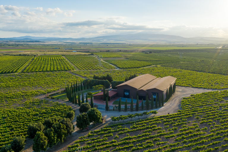 Découvrez La Rioja : visite guidée des vignobles et dégustation de vins