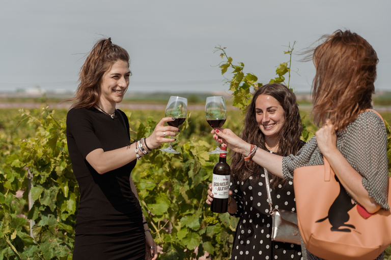 Découvrez La Rioja : visite guidée des vignobles et dégustation de vins