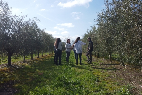 Z La Rioja: zwiedzanie gajów oliwnych i młyna z degustacją