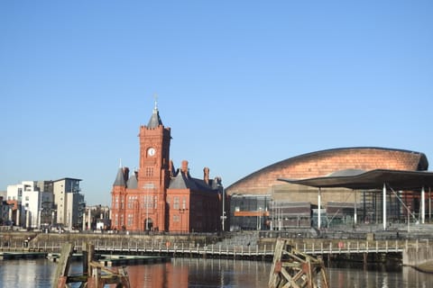 From Cardiff Bay: Private Walking Tour to Tiger Bay
