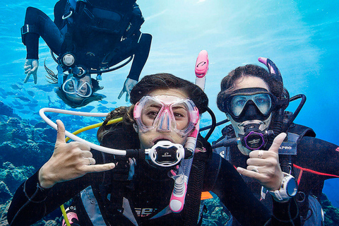 Madeira, Ponta São Lourenço: Buceo para principiantesSólo Opción Piscina - Ponta de São Lourenço