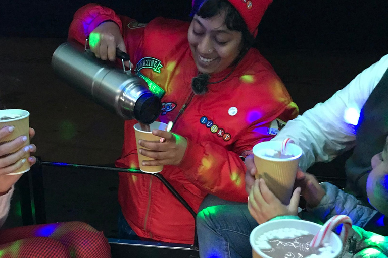 San Francisco: Excursión privada en jeep de las luces navideñas