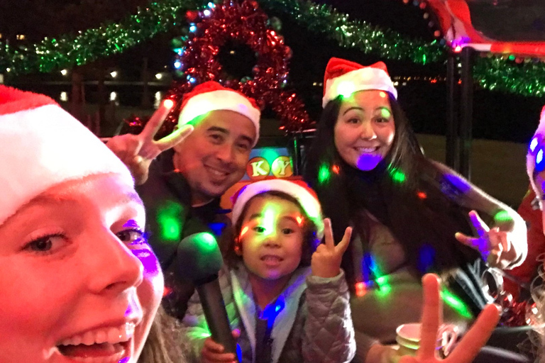 San Francisco: Excursión privada en jeep de las luces navideñas