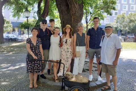 Bratislava: tour a piedi pomeridiano con visita della città