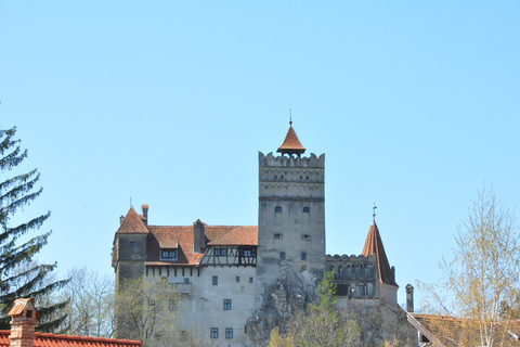 From Sibiu: Day Tour to Brasov and Dracula's Castle Day Tour to Brasov