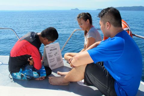 Kota Kinabalu: 2-Personen PADI Open Water Diver Kurs
