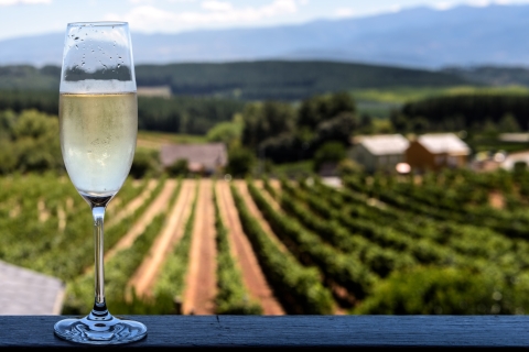 Paryż: Dwie winnice szampana Reims z degustacją i lunchem