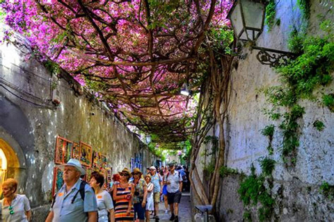 From Naples: Private Tour to Pompeii, Sorrento, and Positano Private Tour by Minivan from Napoli Centrale