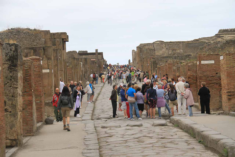 Desde Nápoles: tour privado de Pompeya, Herculano y VesubioTour privado en sedán desde el hotel