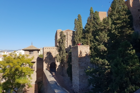 Malaga: Katedra, Alcazaba, piesza wycieczka po teatrze rzymskim