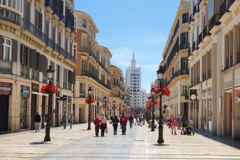 Malaga : visite à pied de la cathédrale, de l'Alcazaba et du théâtre romain
