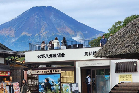 From Tokyo: Mt. Fuji & Hakone Private Scenic Day Tour