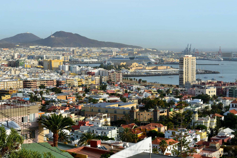 Las Palmas: Shopping & Highlights Tour Shopping & Highlights Tour