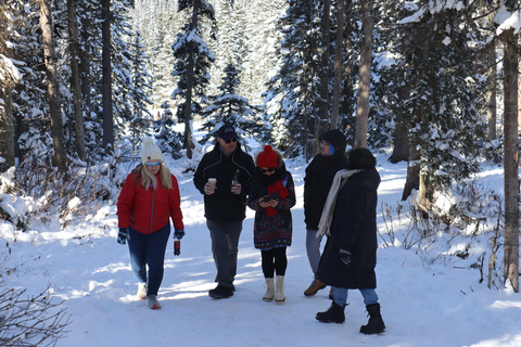 Au départ de Calgary : Excursion d'une journée dans le parc national de Banff