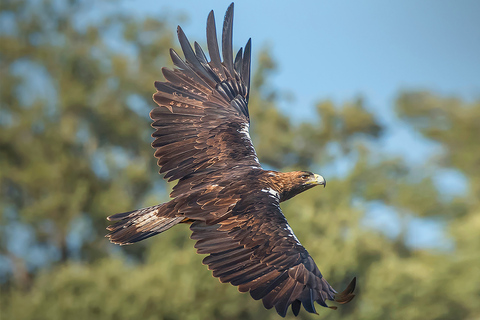 Madrid : billet pour le Zoo Aquarium de Madrid