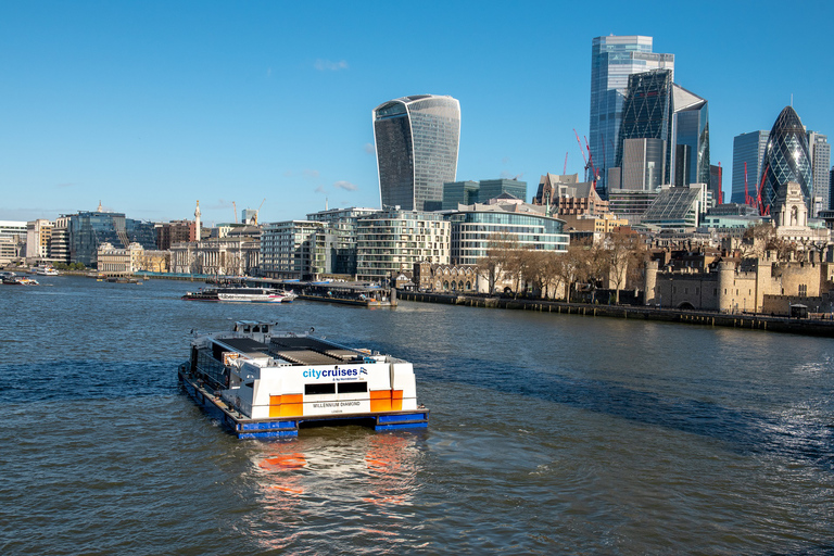 London River Thames Lunch Cruise