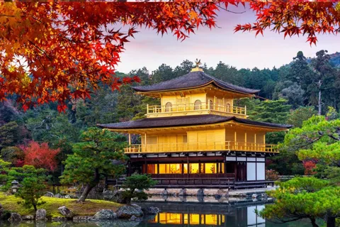 From Osaka/Kyoto: Kyoto & Nara Private Sightseeing Day Trip.