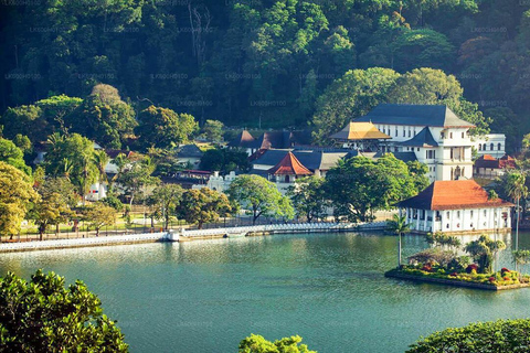 Sri Lanka: 2-dniowa wycieczka do Sigiriya, Dambulla i Kandy