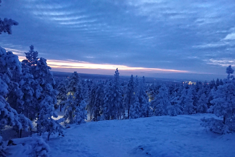 Rovaniemi: Dansa salsa under norrskenetRovaniemi: Salsadans under norrskenet