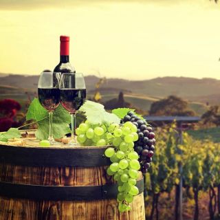 Granadasta: Rondan viinitila ja kiertoajelu