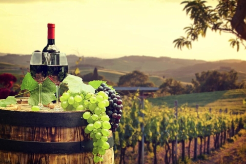 Z Granady: winiarnia Ronda i wycieczka krajoznawczaRonda Winery Minivan Tour z degustacją wina z Granady