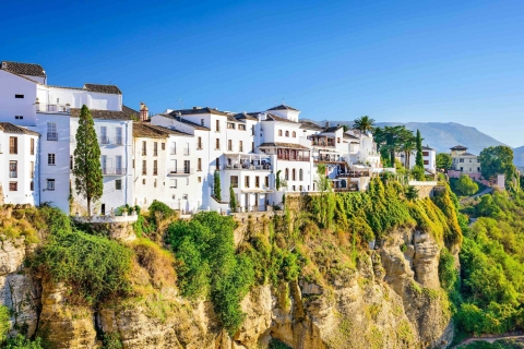 Van Granada: Ronda Winery en Sightseeing TourRonda Winery Minivan Tour met wijnproeverij vanuit Granada