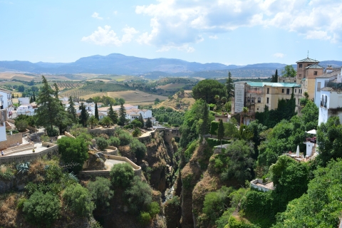 Desde Granada: visita turística y bodega RondaVisita en minivan a la bodega Ronda con cata de vinos desde Granada