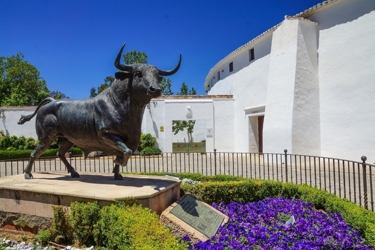 Ab Granada: Ronda Winery und Sightseeing TourRonda Winery Minivan Tour mit Weinprobe ab Granada