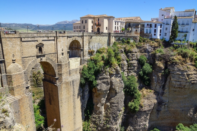 Desde Granada: visita turística y bodega RondaVisita en minivan a la bodega Ronda con cata de vinos desde Granada