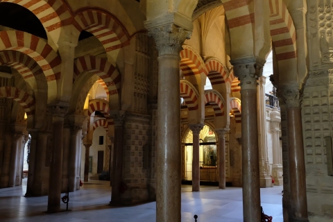 De Séville: excursion privée d'une demi-journée à Cordoue