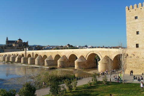 Desde Sevilla: excursión privada de medio día a Córdoba