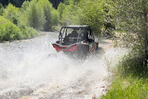 Jackson Hole: Togwotee Mountain Lodge UTV Rental