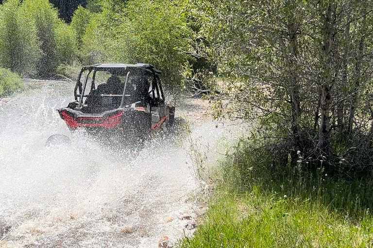 Jackson Hole: Togwotee Mountain Lodge UTV Rental