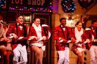 Branson, Christmas Wonderland Musical Theater Ticket - Hizvo