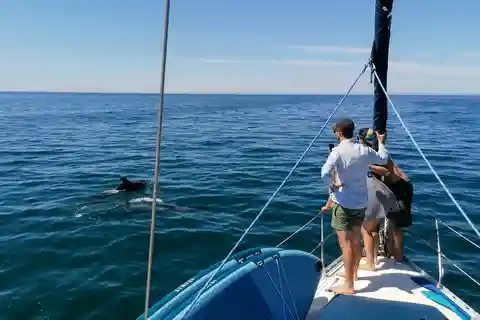 Vilamoura: crociera costiera su uno yacht a vela di lusso