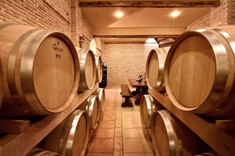 Korynt: wycieczka po winnicach i degustacje ekologicznych wyśmienitych win